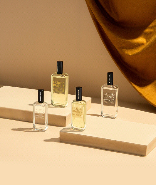 사진제공 = 메트로시티